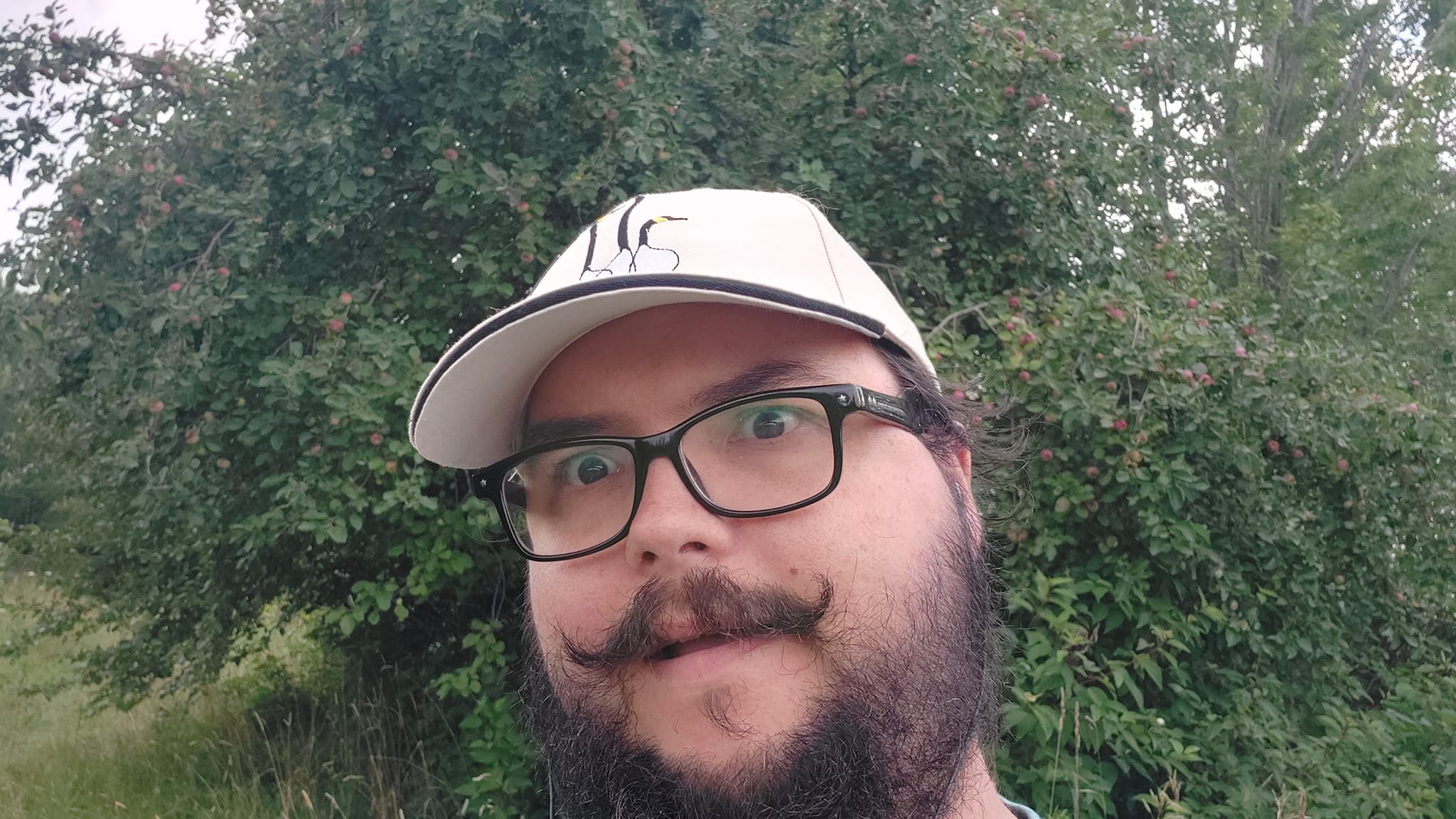 A man short hair and bushy facial hair stands in front of a huge apple tree, looking shocked